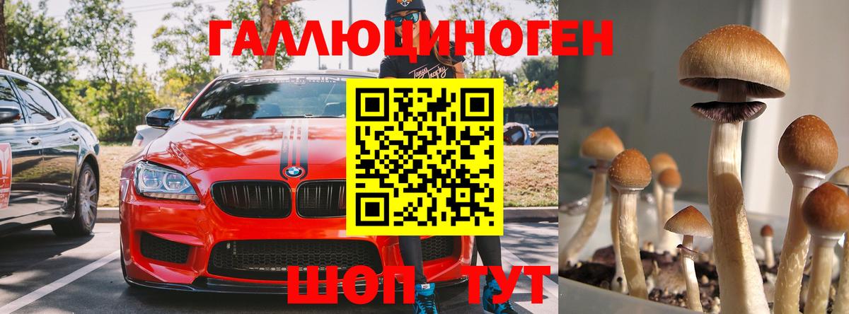 Свободный  Псилоцибиновые грибы мухоморы  Вход с VPN 
