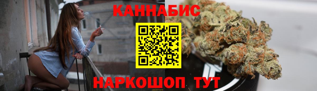 Бошки Шишки план Свободный